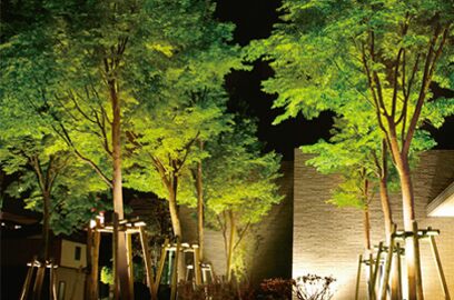 虫が寄りにくく植物を傷めない照明 エクステリアライトで庭を楽しむ 加古川市 高砂市で外構リフォームならウオハシ
